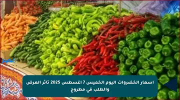 أسعار الخضروات اليوم الخميس 7 أغسطس 2025 تأثر العرض والطلب في مطروح